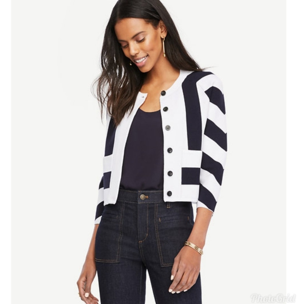 Ann Taylor Navy and White Striped sweater